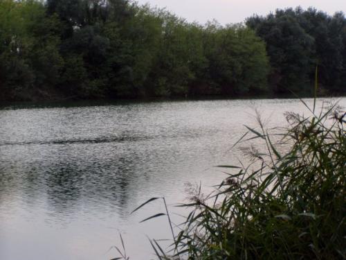 Il Piave vicino alla Laguna